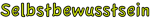 Selbstbewusstsein150